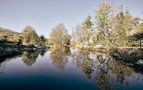 ΜΑΙΟΣ ΣΤΗΝ ΑΙΓΕΙΡΑ ΚΑΙ ΤΟ AREA SYNEST