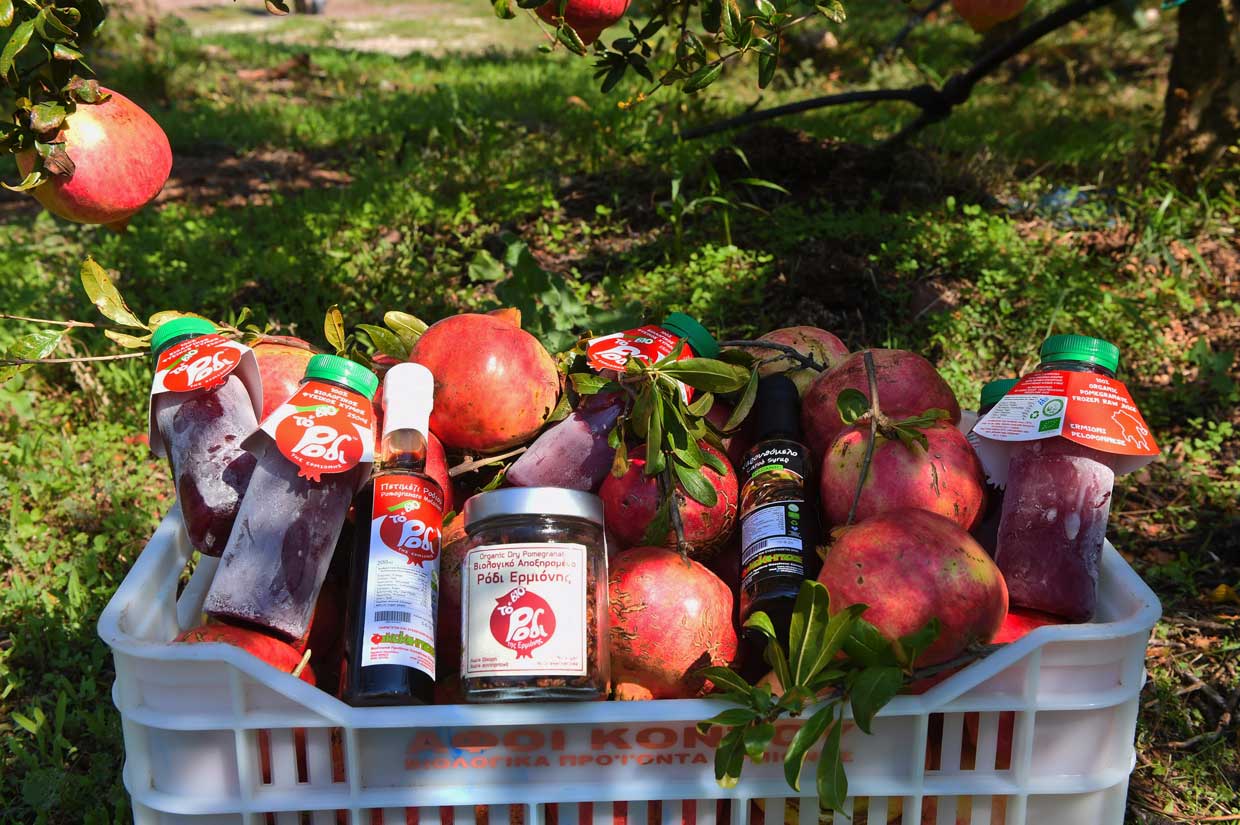 ΠΡΩΤΟΜΑΓΙΑ ΣΤΗΝ ΕΡΜΙΟΝΙΔΑ