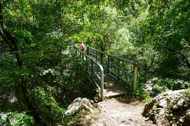 Πεζοπορία  στο ΦΑΡΑΓΓΙ ΛΟΥΣΙΟΥ-ΜΟΝΗ ΠΡΟΔΡΟΜΟΥ