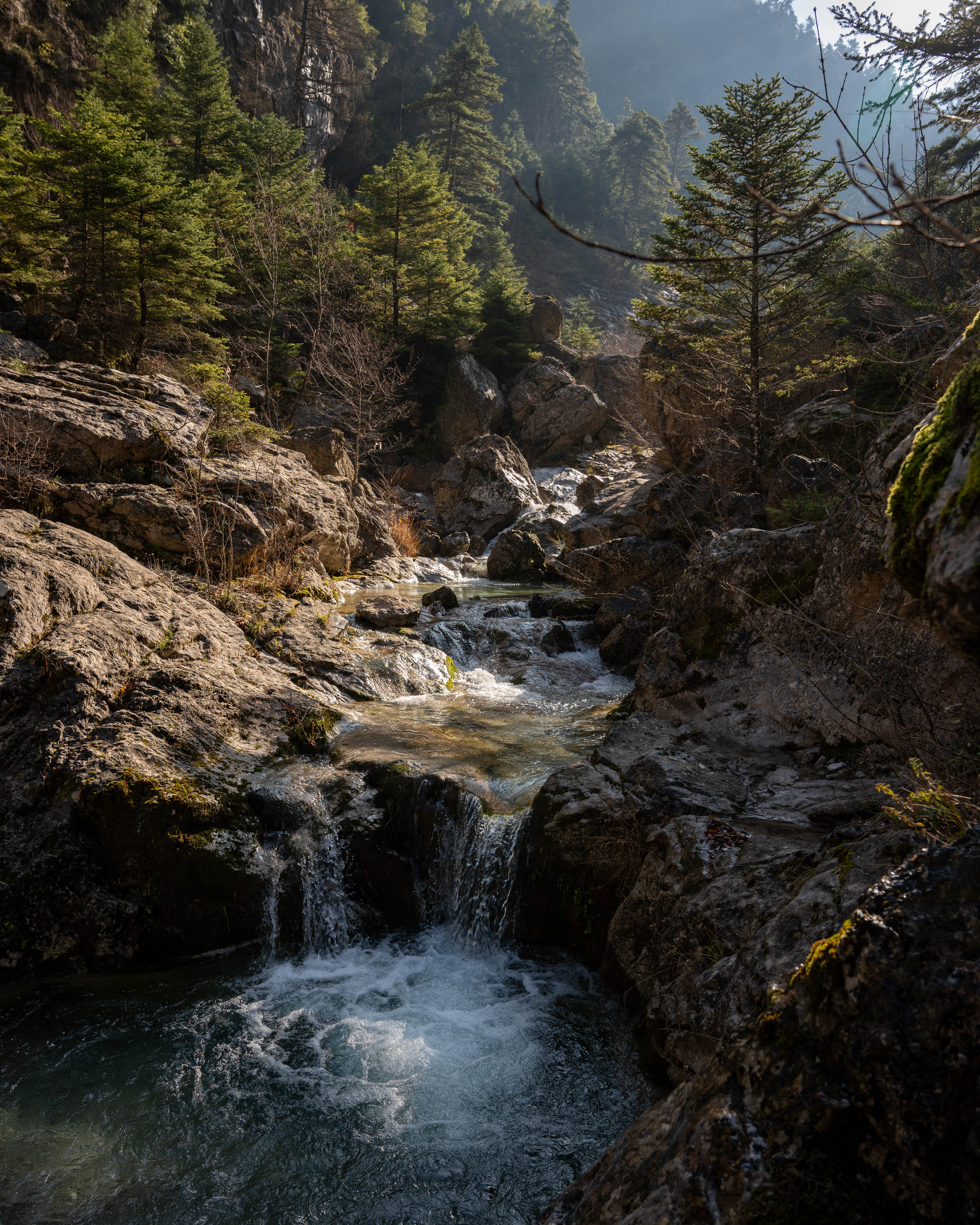 Πεζοπορία στον ΠΑΡΝΑΣΣΟ