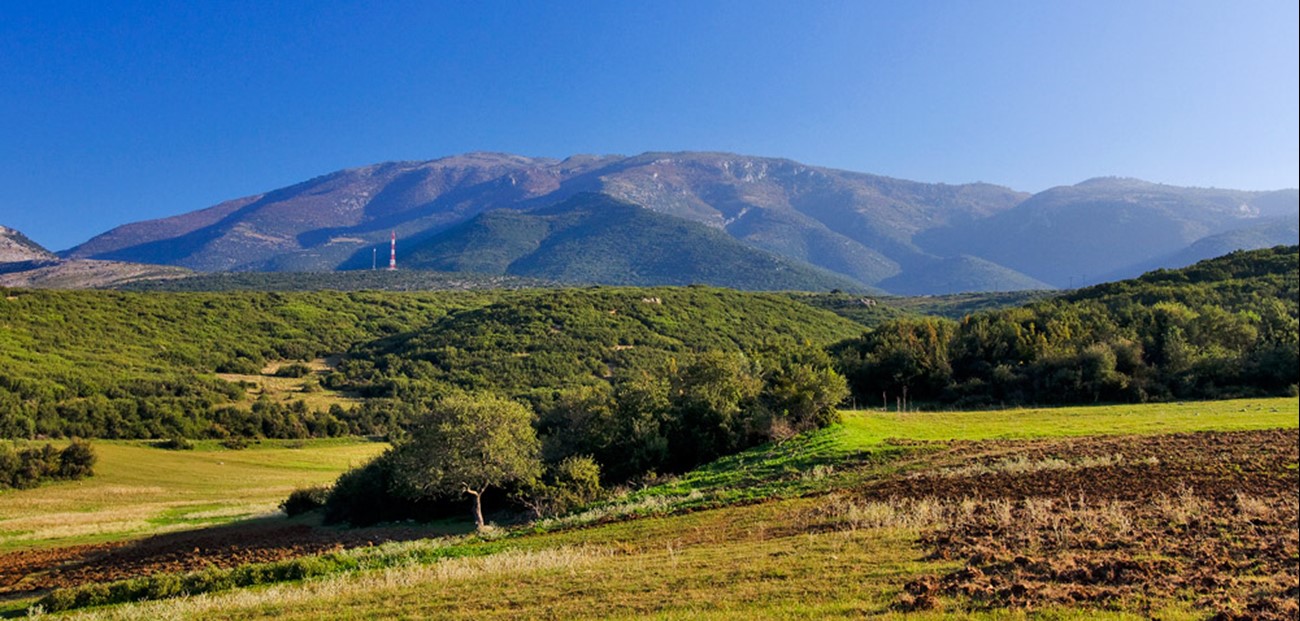 ΑΚΡΙΤΙΚΟ, ΠΑΝΕΜΟΡΦΟ ΚΑΙ ΑΓΝΩΣΤΟ 