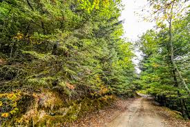 Πεζοπορία στον ΠΑΡΝΩΝΑ : Μονή Μαλεβής- Άγιος Πέτρος Κυνουρίας