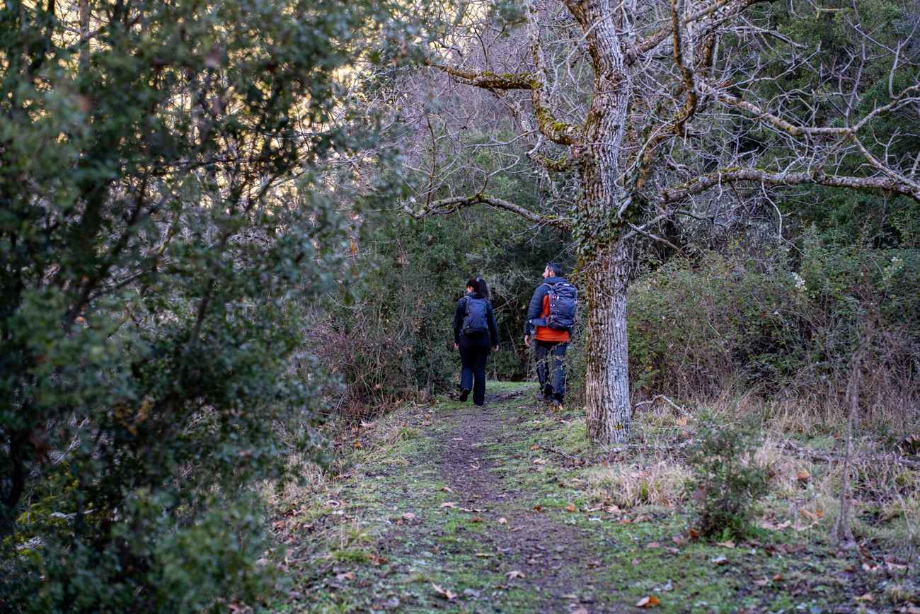  Μια απόδραση στην αυθεντική Ελλάδα!