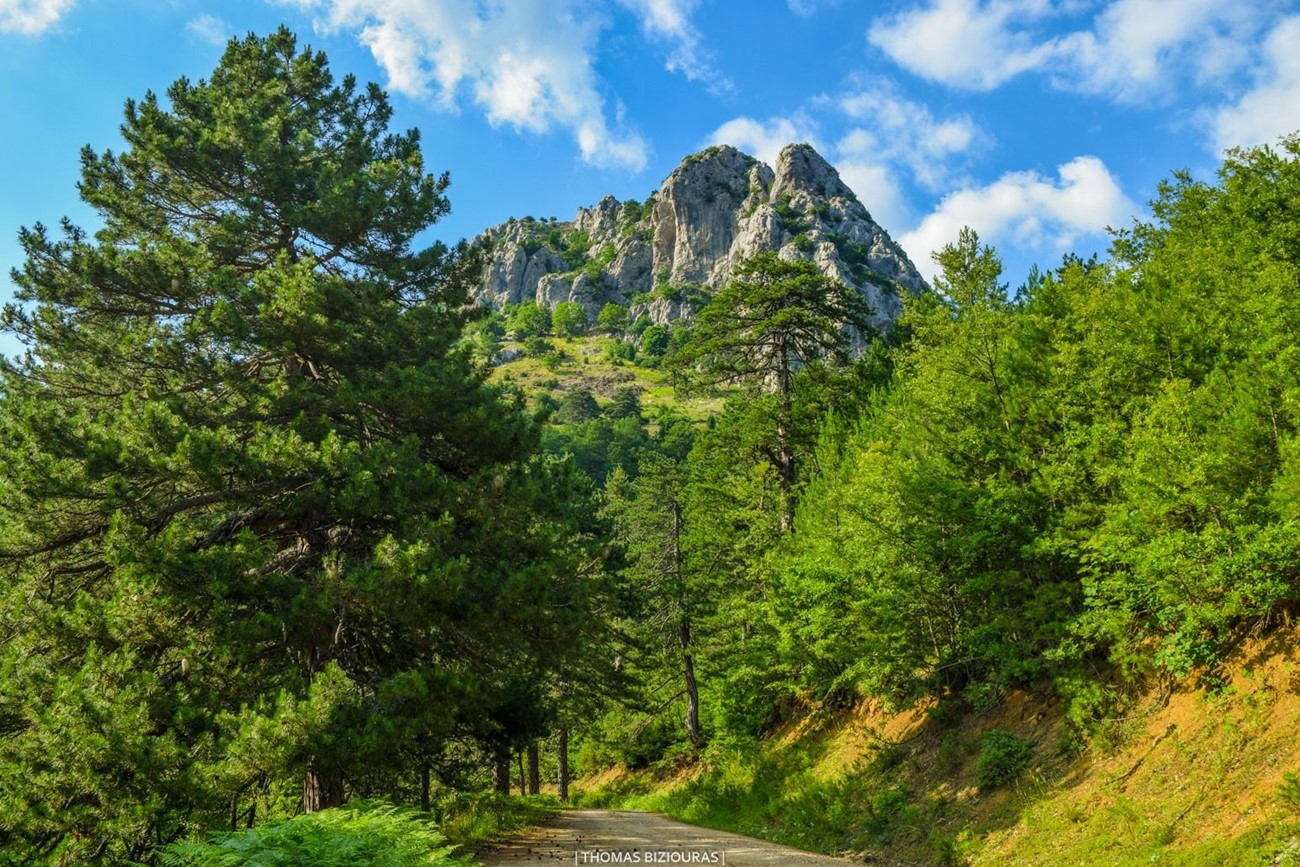 Περπατώντας στα  άγνωστα μονοπάτια του Εθνικού Πάρκου της Πίνδου.