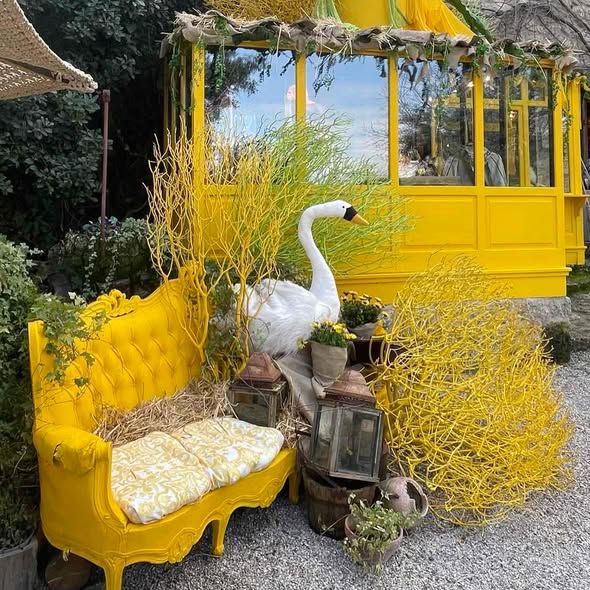 ΜΑΙΟΣ ΣΤΗΝ ΑΙΓΕΙΡΑ ΚΑΙ ΤΟ AREA SYNEST