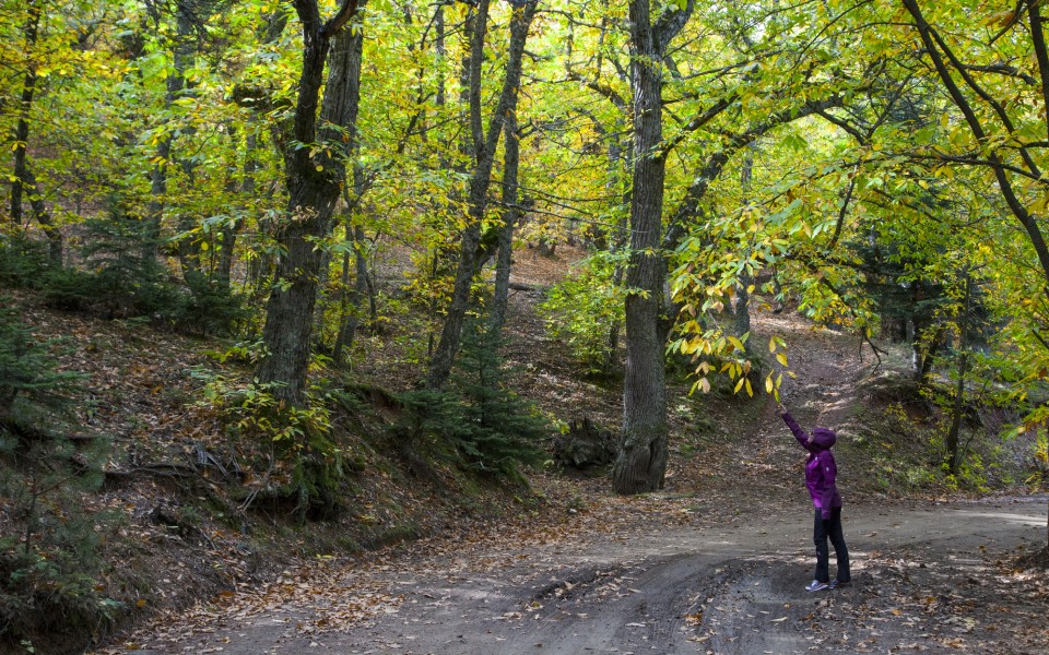 Πεζοπορία στον ΠΑΡΝΩΝΑ : Μονή Μαλεβής- Άγιος Πέτρος Κυνουρίας