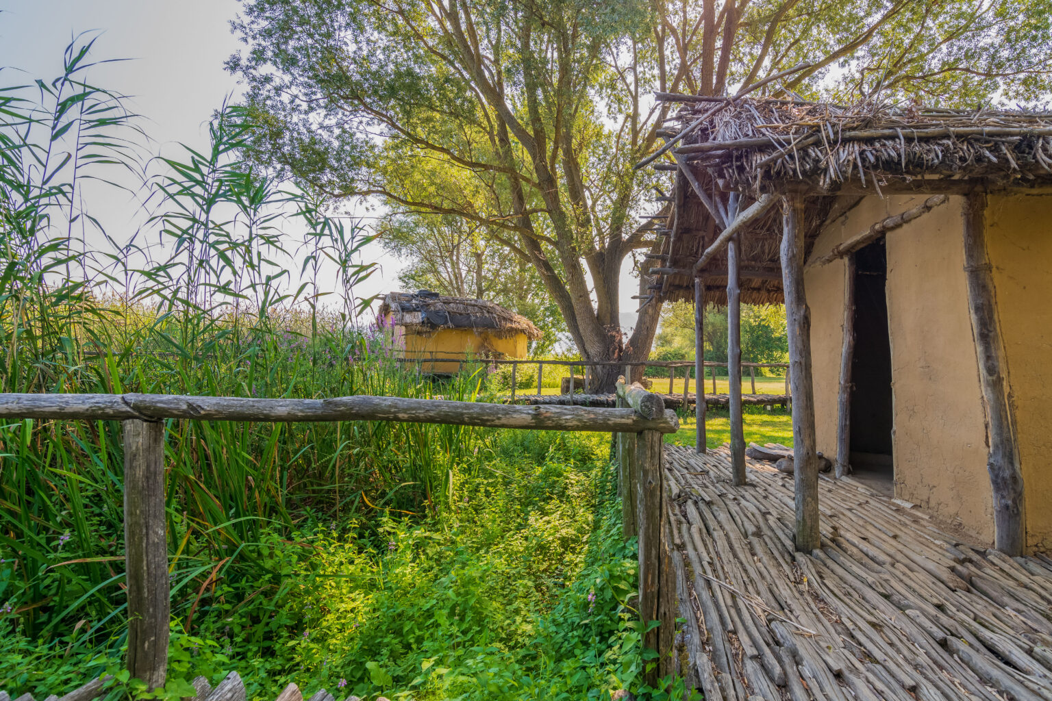 Memnon Christmas ΘΕΟΦΑΝΕΙΑ ΣΕ ΚΑΣΤΟΡΙΑ-ΠΡΕΣΠΕΣ-ΡΑΓΚΟΥΤΣΑΡΙΑ