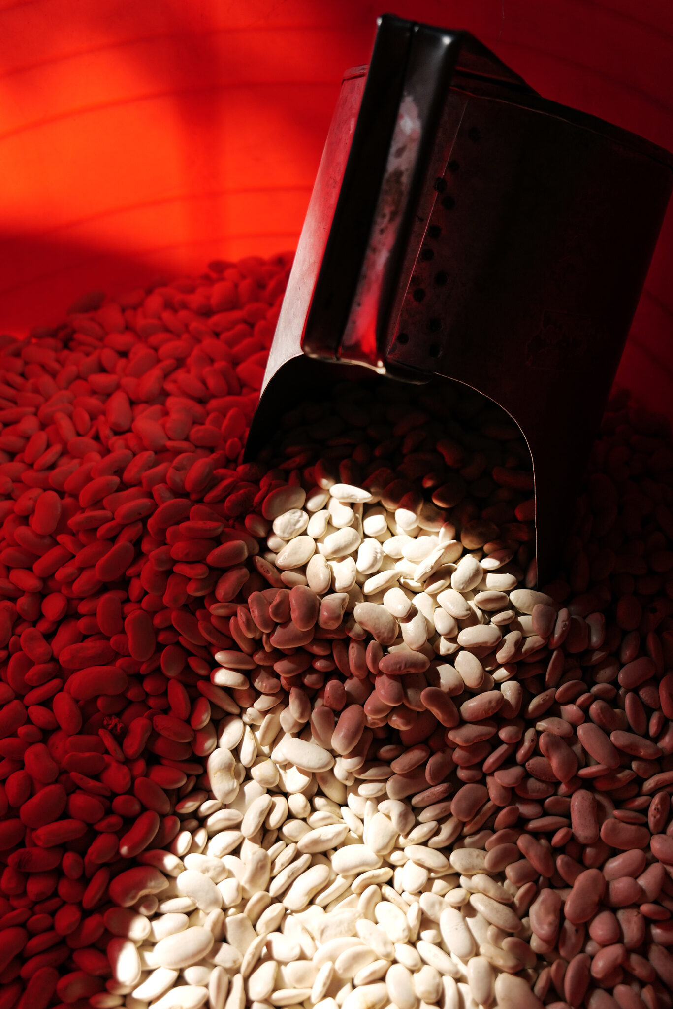 Memnon Christmas ΘΕΟΦΑΝΕΙΑ ΣΕ ΚΑΣΤΟΡΙΑ-ΠΡΕΣΠΕΣ-ΡΑΓΚΟΥΤΣΑΡΙΑ