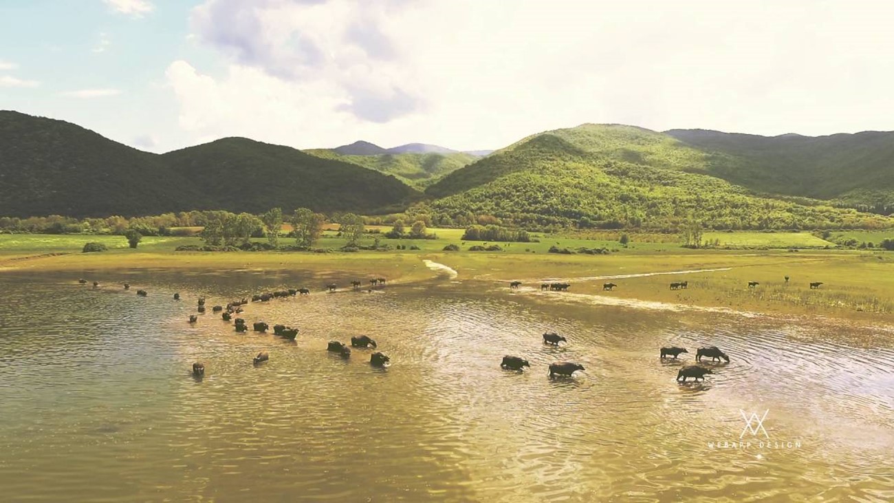 ΤΟ ΛΙΒΑΔΙ ΠΟΥ ΔΑΚΡΥΖΕΙ