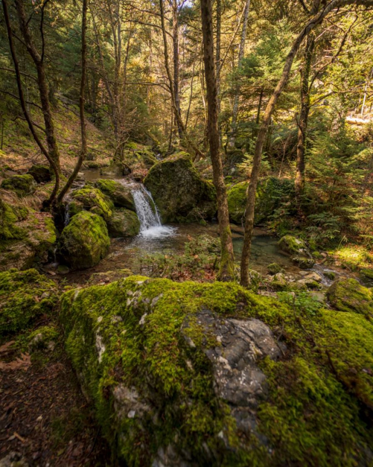 Πεζοπορία στο ΜAINALON TRAIL 