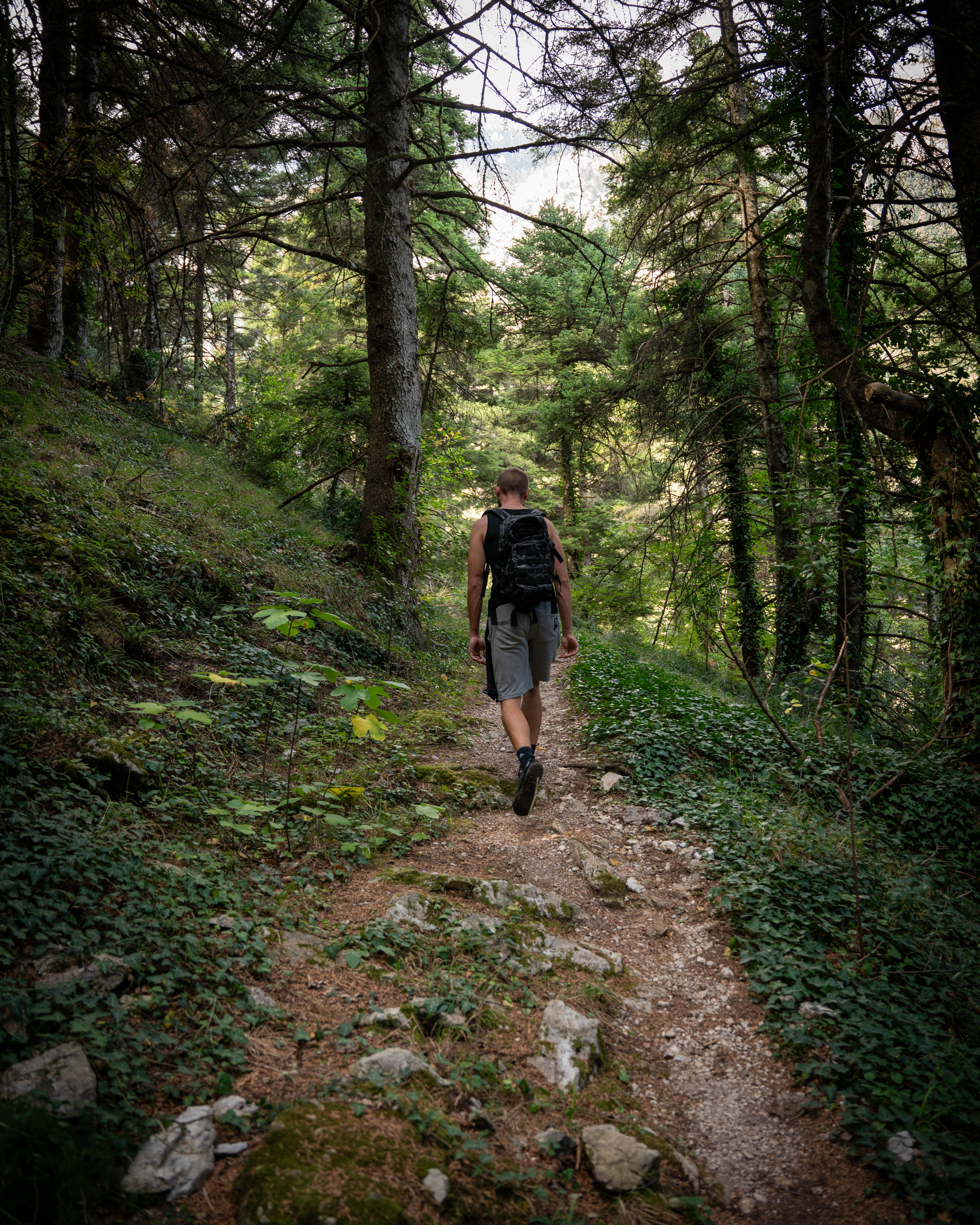 Πεζοπορία στον ΠΑΡΝΑΣΣΟ