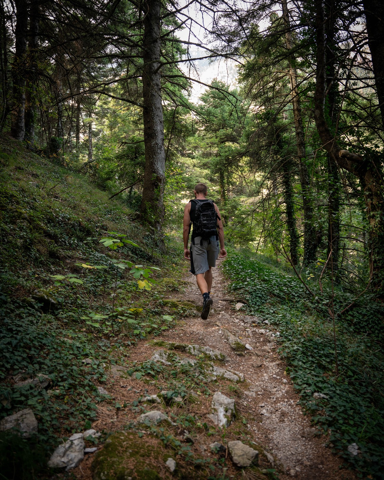 ΧΑΡΑΔΡΑ ΒΕΛΙΤΣΑΣ-ΤΙΘΟΡΕΑ