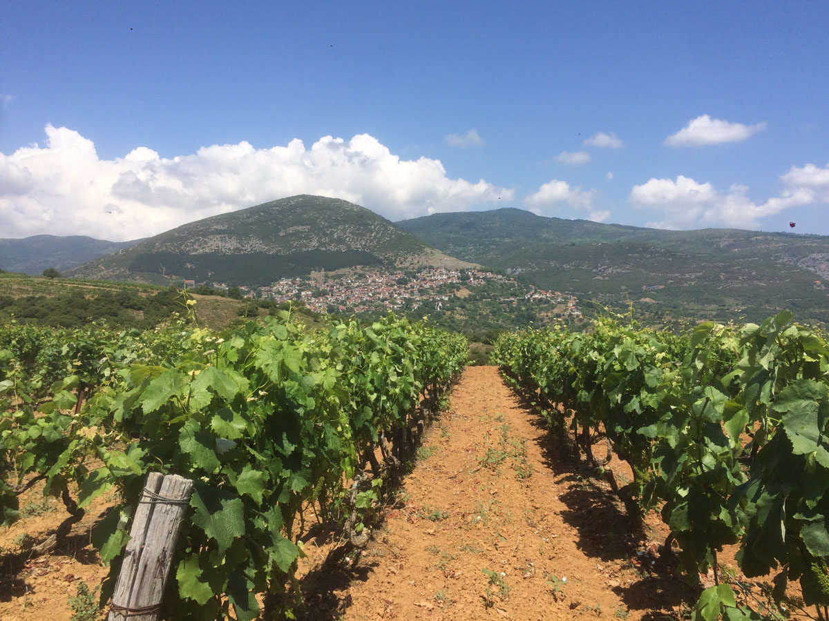 Memnon Christmas ΧΡΙΣΤΟΥΓΕΝΝΑ ΣΤΗΝ ΚΑΡΔΙΑ ΤΗΣ ΘΕΣΣΑΛΙΚΗΣ ΓΗΣ