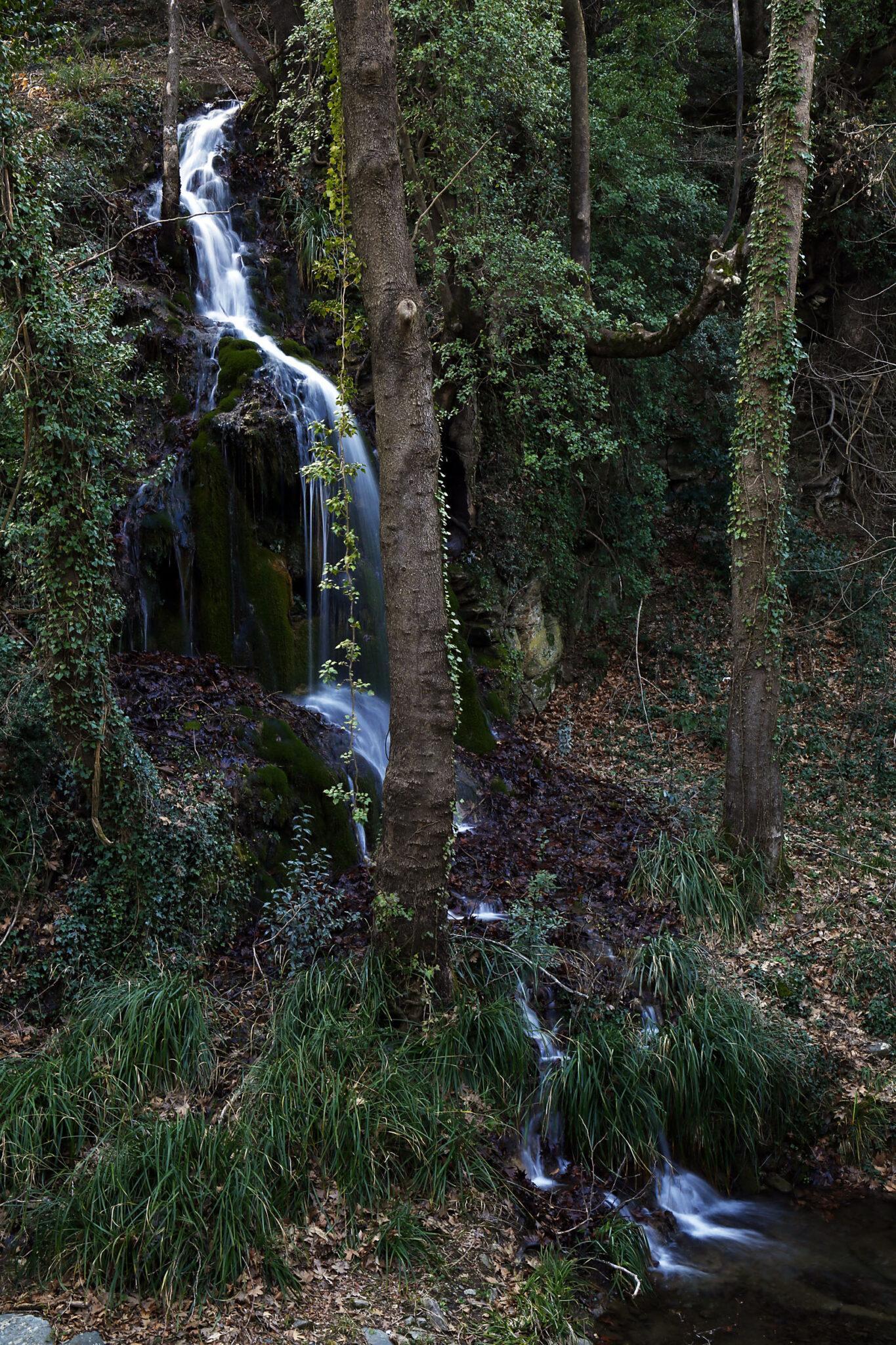 Memnon Christmas ΧΡΙΣΤΟΥΓΕΝΝΑ ΣΤΗΝ ΚΑΡΔΙΑ ΤΗΣ ΘΕΣΣΑΛΙΚΗΣ ΓΗΣ