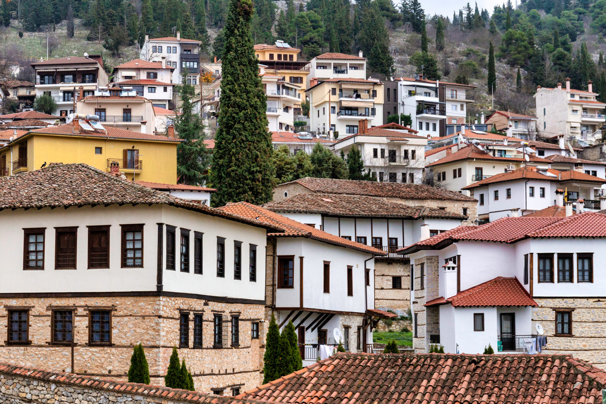 Memnon Christmas ΘΕΟΦΑΝΕΙΑ ΣΕ ΚΑΣΤΟΡΙΑ-ΠΡΕΣΠΕΣ-ΡΑΓΚΟΥΤΣΑΡΙΑ