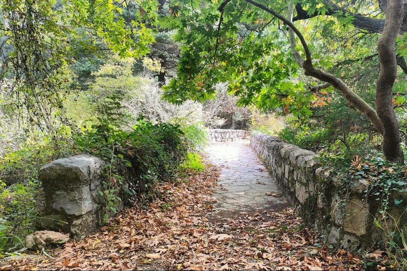 ΜΑΓΟΥΛΙΑΝΑ-ΒΑΛΤΕΣΙΝΙΚΟ (7ο τμήμα Menalon Trail)