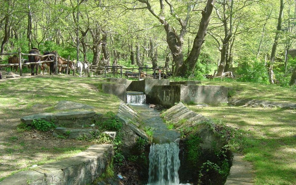 ΝΟΜΟΣ ΣΕΡΡΩΝ - ΠΑΣΧΑ ΣΤΗΝ ΚΕΡΚΙΝΗ