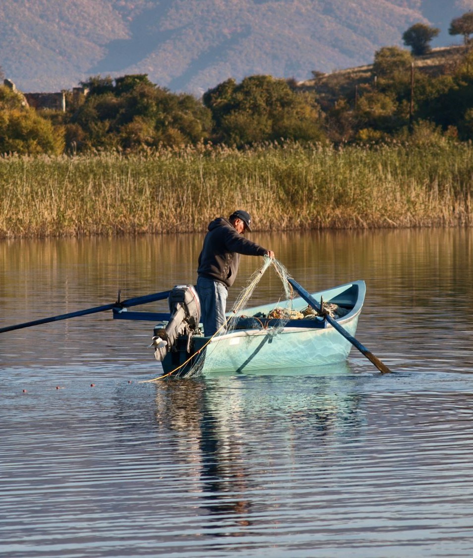 Memnon Christmas ΘΕΟΦΑΝΕΙΑ ΣΕ ΚΑΣΤΟΡΙΑ-ΠΡΕΣΠΕΣ-ΡΑΓΚΟΥΤΣΑΡΙΑ