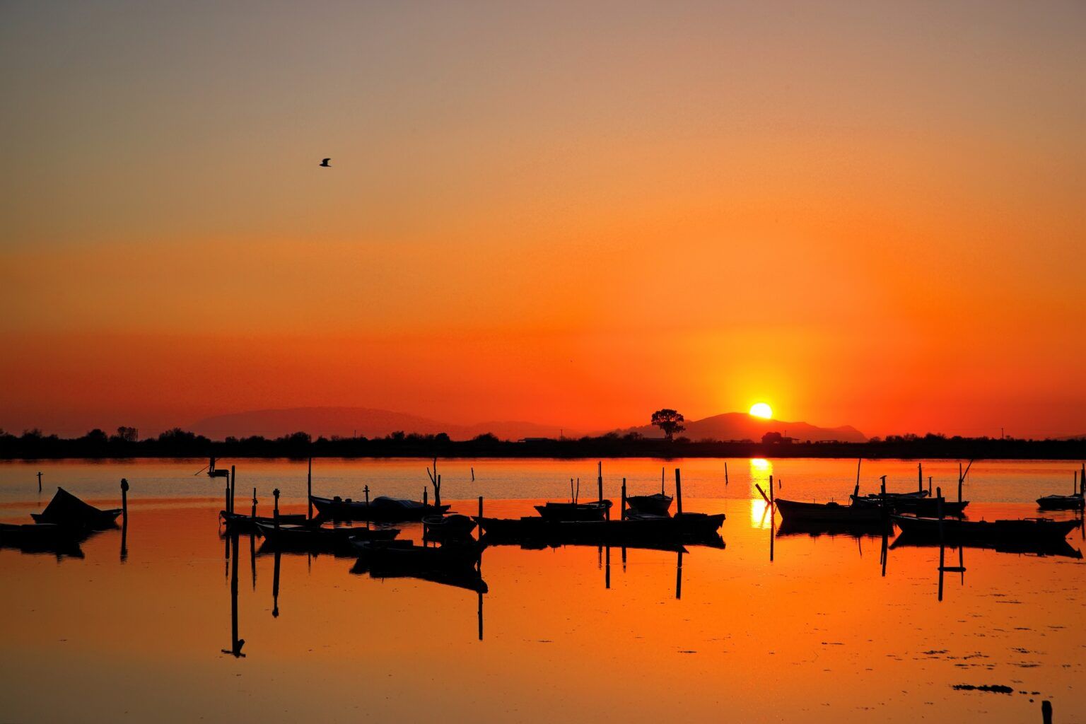 25η ΜΑΡΤΙΟΥ ΣΤΗΝ ΙΕΡΗ ΠΟΛΗ ΜΕΣΟΛΟΓΓΙΟΥ