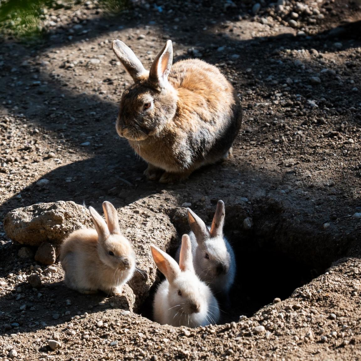 ΜΑΙΟΣ ΣΤΗΝ ΑΙΓΕΙΡΑ ΚΑΙ ΤΟ AREA SYNEST