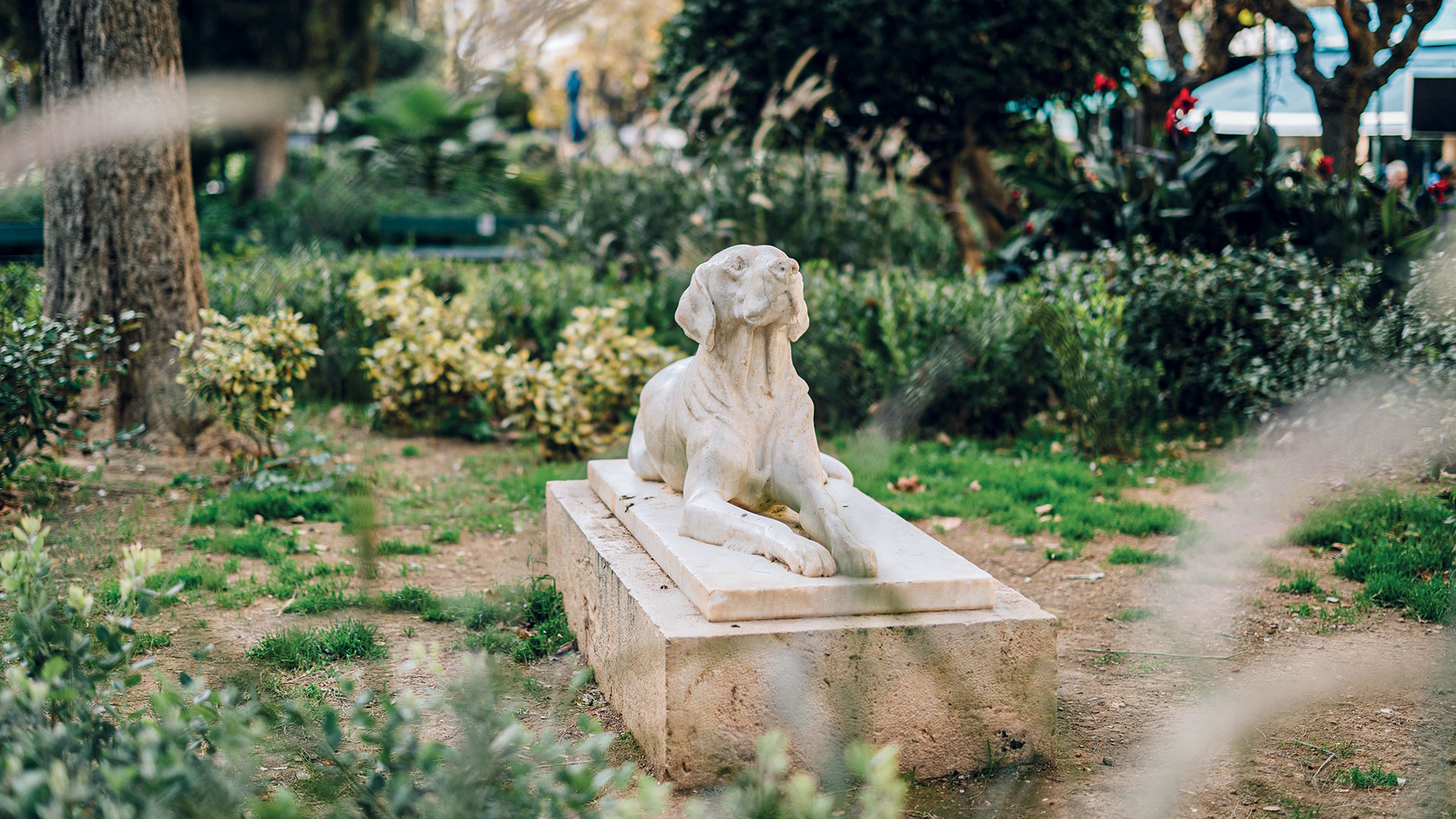 ΦΩΚΙΩΝΟΣ ΝΕΓΡΗ ΜΕ ΤΟΝ ΝΙΚΟ ΒΑΤΟΠΟΥΛΟ