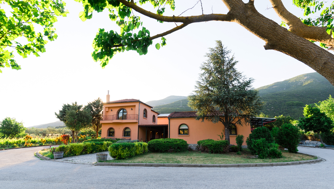 Memnon Christmas ΧΡΙΣΤΟΥΓΕΝΝΑ ΣΤΗΝ ΚΑΡΔΙΑ ΤΗΣ ΘΕΣΣΑΛΙΚΗΣ ΓΗΣ